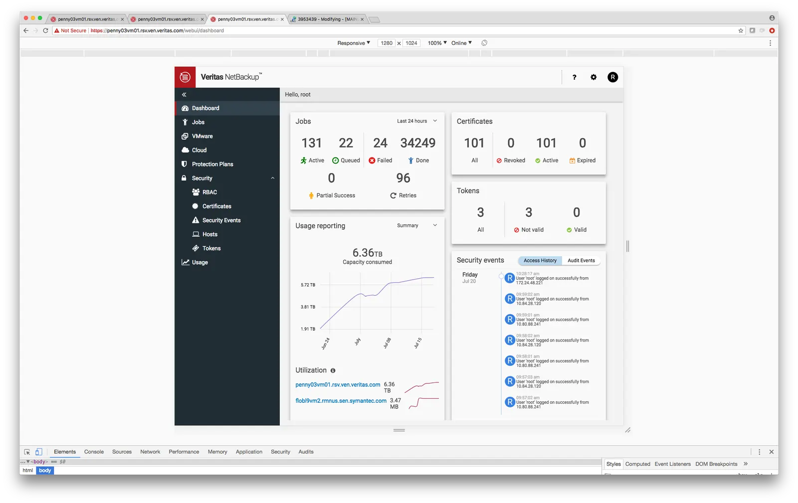 NetBackup web interface screenshot